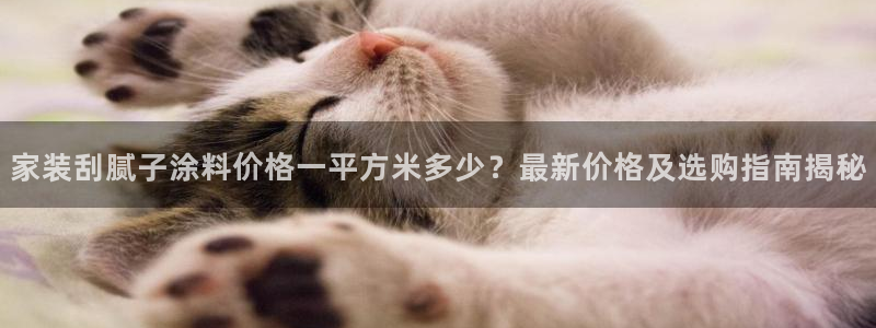 和记官网[中国]官方网站：家装刮腻子涂料价格一平方米多少？最新价格及选购指南揭秘