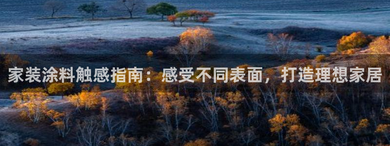和记网页版：家装涂料触感指南：感受不同表面，打造理想家居