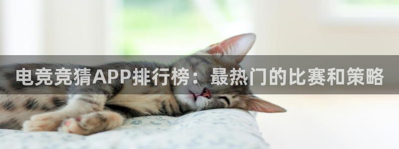 小艾电竞app：电竞竞猜APP排行榜：最热门的比赛和策略