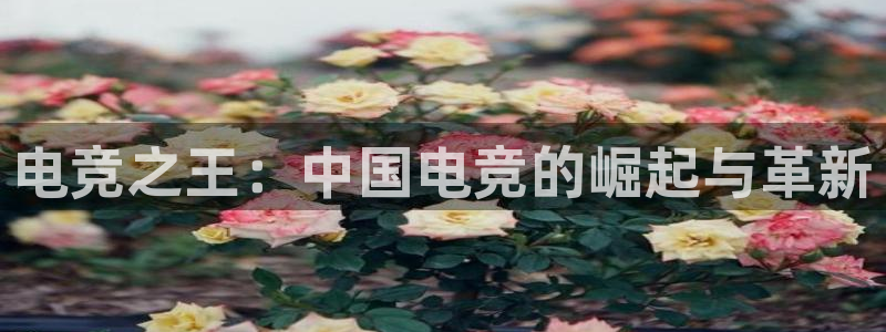 小艾电竞app下载官网：电竞之王：中国电竞的崛起与革新