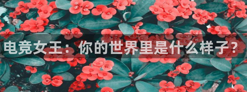 小艾电竞app下载官网：电竞女王：你的世界里是什么样子？
