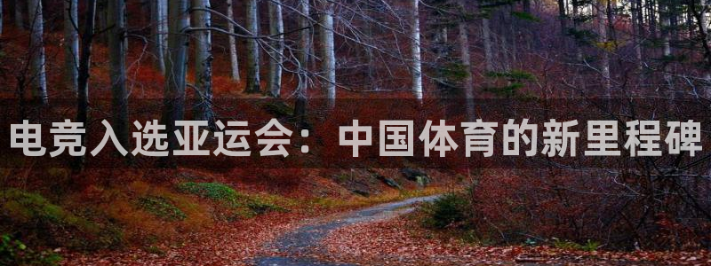 小艾电竞：电竞入选亚运会：中国体育的新里程碑