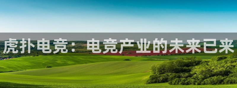 小艾电竞：虎扑电竞：电竞产业的未来已来