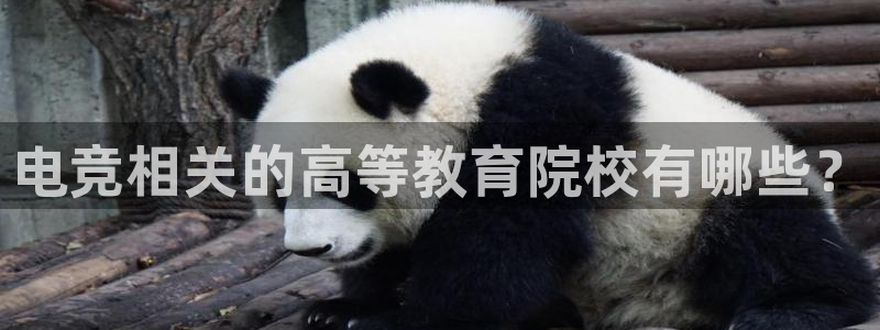 小艾电竞平台官方网：电竞相关的高等教育院校有哪些？