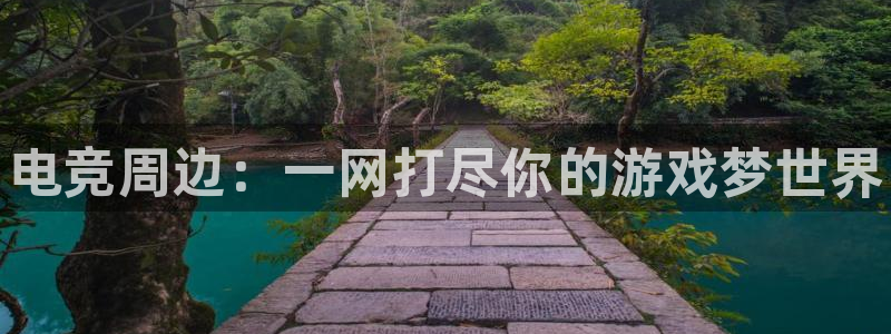 小艾电竞app下载官网：电竞周边：一网打尽你的游戏梦世界