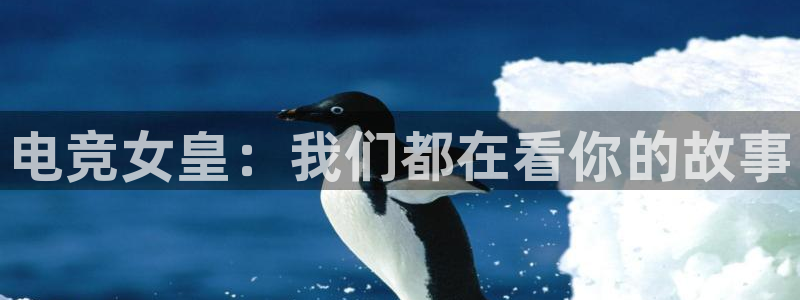 小艾电竞平台：电竞女皇：我们都在看你的故事