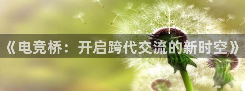 小艾电竞网页版登录：《电竞桥：开启跨代交流的新时空》
