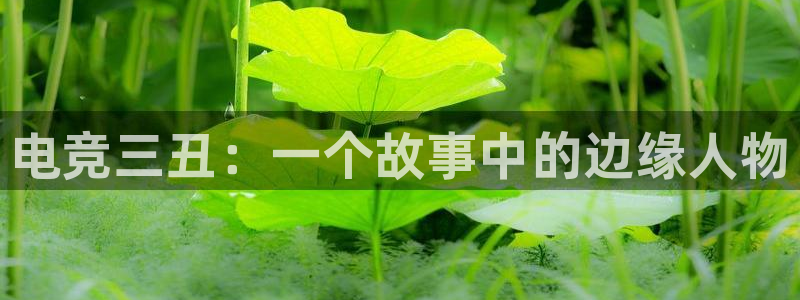 小艾电竞app下载官网：电竞三丑：一个故事中的边缘人物