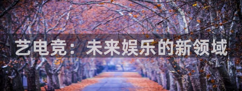 小艾电竞app下载官网：艺电竞：未来娱乐的新领域