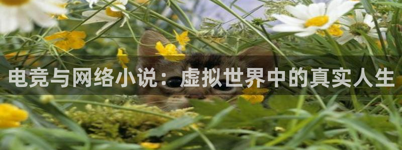小艾电竞平台：电竞与网络小说：虚拟世界中的真实人生