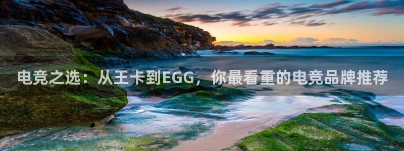 小艾电竞官网：电竞之选：从王卡到EGG，你最看重的电竞品牌推荐