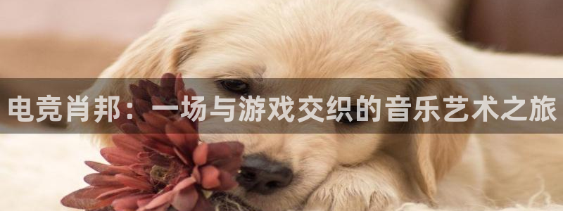 小艾电竞官网：电竞肖邦：一场与游戏交织的音乐艺术之旅