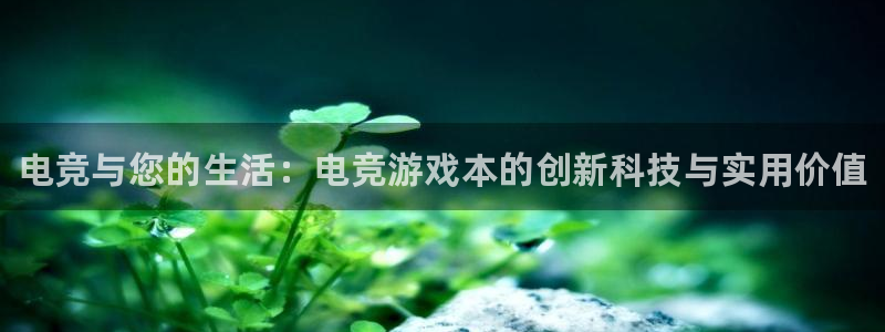 小艾电竞app下载官网：电竞与您的生活：电竞游戏本的创新科技与实用价值