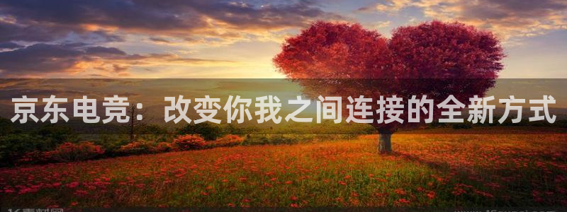 小艾电竞：京东电竞：改变你我之间连接的全新方式