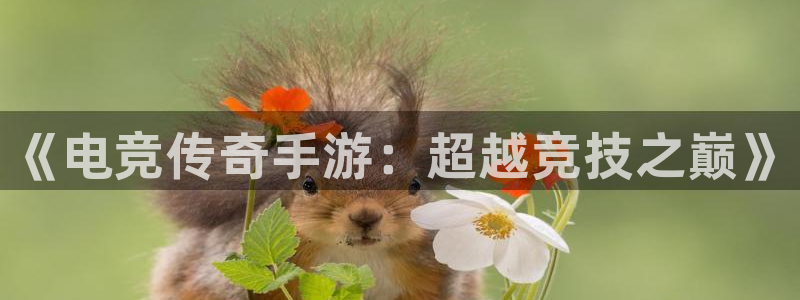 小艾电竞平台官方网：《电竞传奇手游：超越竞技之巅》