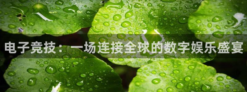 小艾电竞app：电子竞技：一场连接全球的数字娱乐盛宴
