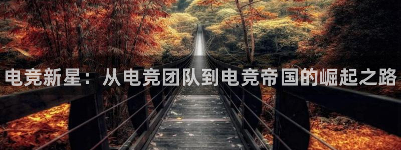 小艾电竞平台官方网：电竞新星：从电竞团队到电竞帝国的崛起之路