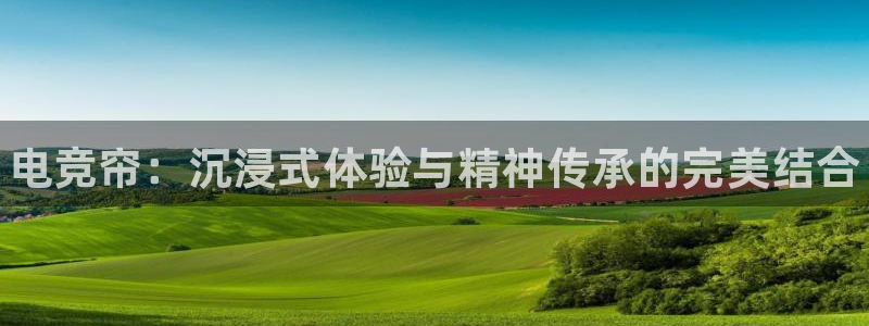 小艾电竞app下载官网：电竞帘：沉浸式体验与精神传承的完美结合