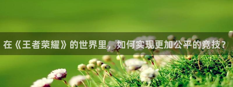 小艾电竞平台：在《王者荣耀》的世界里，如何实现更加公平的竞技？