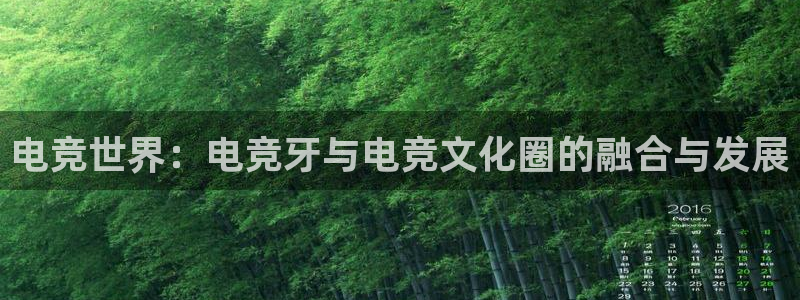 小艾电竞网页版登录：电竞世界：电竞牙与电竞文化圈的融合与发展