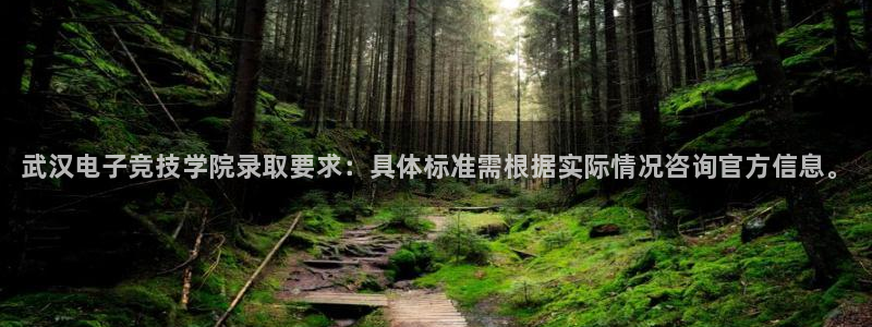 小艾电竞平台官方网：武汉电子竞技学院录取要求：具体标准需根据实际情况咨询官方信息。