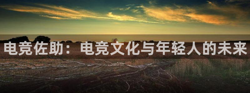 小艾电竞：电竞佐助：电竞文化与年轻人的未来
