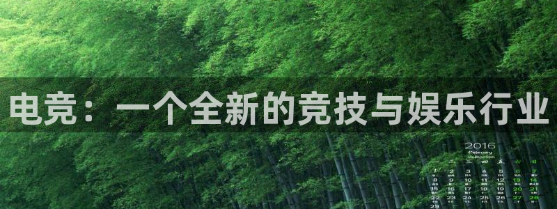 小艾电竞网页版登录：电竞：一个全新的竞技与娱乐行业