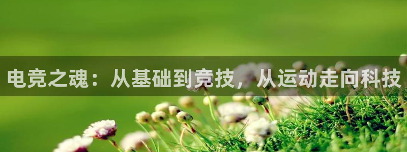 小艾电竞平台：电竞之魂：从基础到竞技，从运动走向科技
