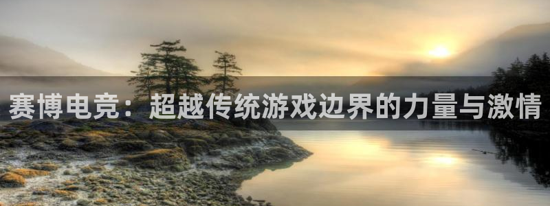 小艾电竞app下载官网：赛博电竞：超越传统游戏边界的力量与激情