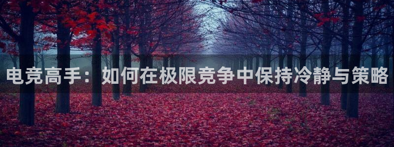 小艾电竞网页版登录：电竞高手：如何在极限竞争中保持冷静与策略