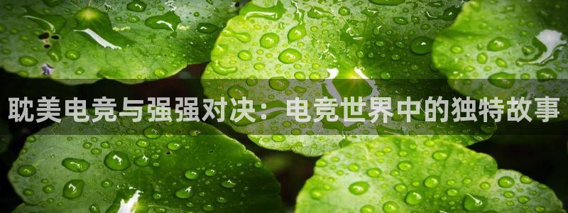小艾电竞平台官方网：耽美电竞与强强对决：电竞世界中的独特故事