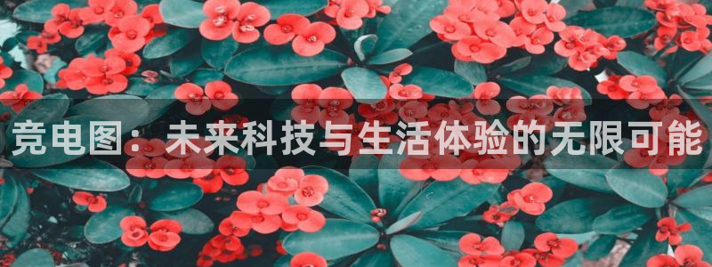 小艾电竞app下载官网：竞电图：未来科技与生活体验的无限可能