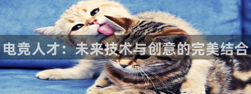小艾电竞网页版登录：电竞人才：未来技术与创意的完美结合