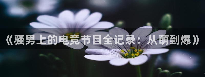 小艾电竞app：《骚男上的电竞节目全记录：从萌到爆》