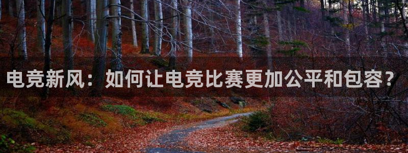 小艾电竞平台官方网：电竞新风：如何让电竞比赛更加公平和包容？