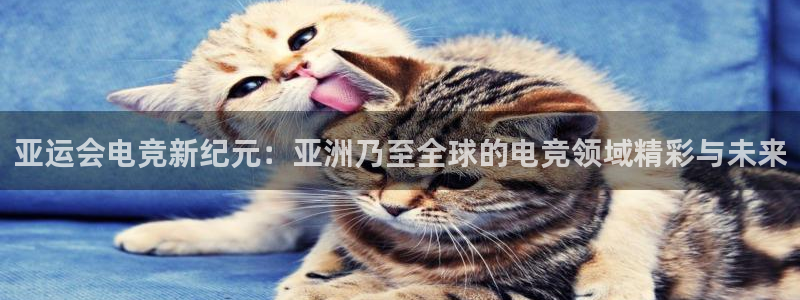 小艾电竞官网：亚运会电竞新纪元：亚洲乃至全球的电竞领域精彩与未来