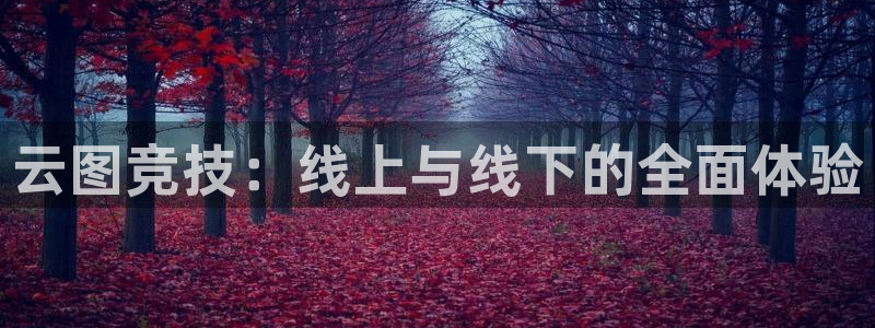 小艾电竞app：云图竞技：线上与线下的全面体验