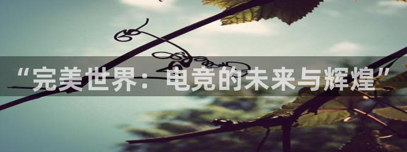 小艾电竞官网：“完美世界：电竞的未来与辉煌”