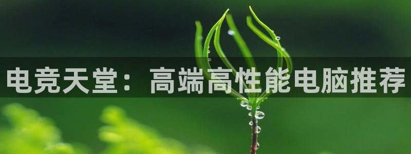 小艾电竞app：电竞天堂：高端高性能电脑推荐