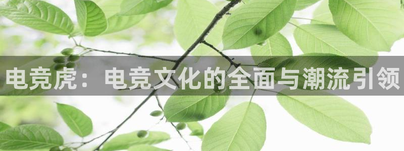 小艾电竞：电竞虎：电竞文化的全面与潮流引领