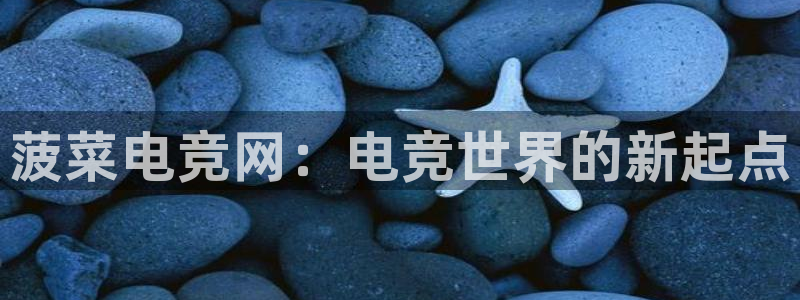 小艾电竞：菠菜电竞网：电竞世界的新起点