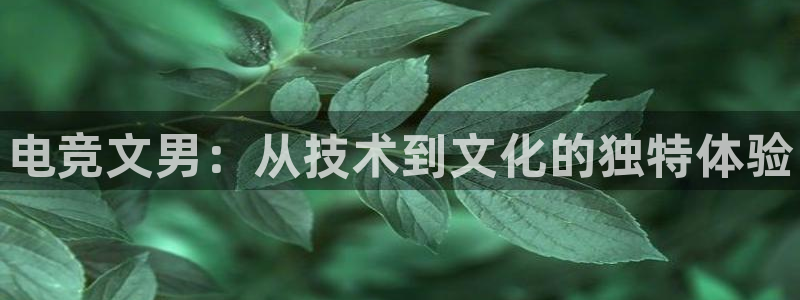 小艾电竞app：电竞文男：从技术到文化的独特体验