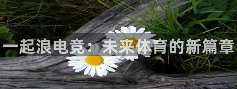 小艾电竞平台官方网：一起浪电竞：未来体育的新篇章