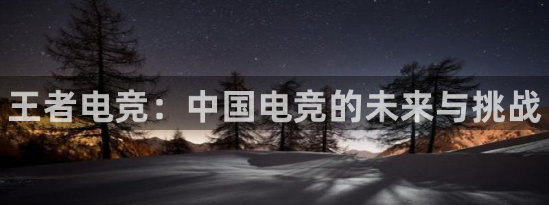 小艾电竞app：王者电竞：中国电竞的未来与挑战