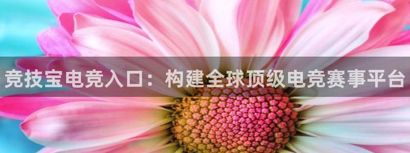 小艾电竞网页版登录：竞技宝电竞入口：构建全球顶级电竞赛事平台