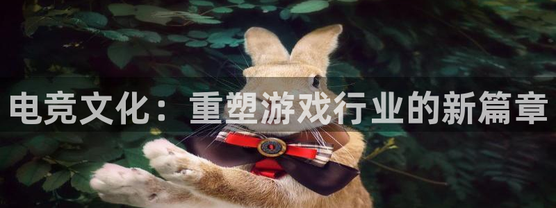 小艾电竞app下载官网：电竞文化：重塑游戏行业的新篇章