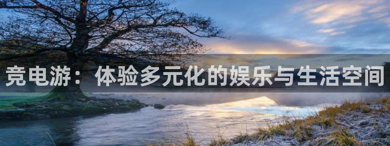 小艾电竞官网：竞电游：体验多元化的娱乐与生活空间