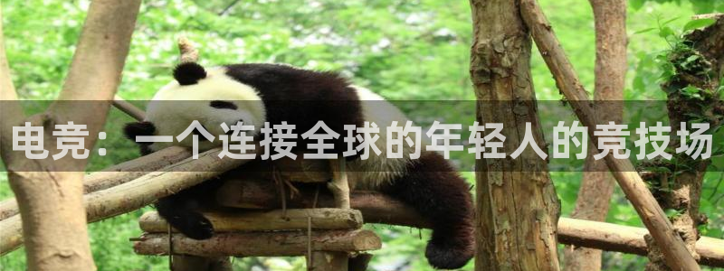小艾电竞app下载官网：电竞：一个连接全球的年轻人的竞技场