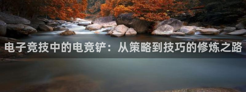 小艾电竞官网：电子竞技中的电竞铲：从策略到技巧的修炼之路
