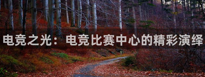 小艾电竞：电竞之光：电竞比赛中心的精彩演绎